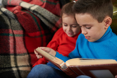 Brother with a sister examines the family photo album sitting on the sofa against the background of a striped woolen plaidの写真素材