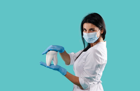 Side portrait of young brunette female dentist wearing protective medical mask and gloves and holding a tooth model in the hands. Portrait isolated on a blue backgroundの写真素材