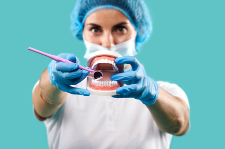 Close up of hands of dentist while examining oral cavity, holding a jaw cast and dental mirrorの写真素材