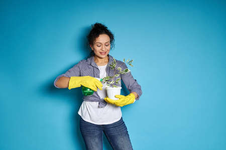 Woman gardener watering a transplanted small tree. Copy space. Housewife taking care of home plantsの写真素材
