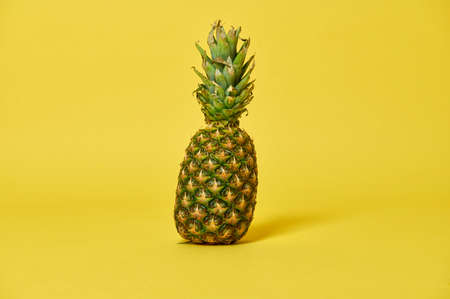 Studio shot with a soft shadow of pineapple on a yellow background with copy space. Exotic tropical...