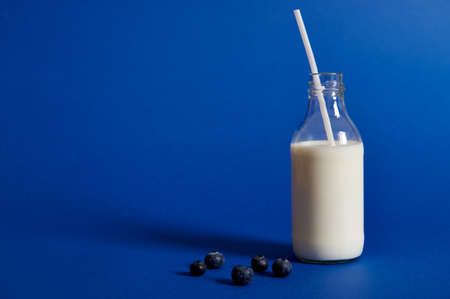Bottle with milk and blueberries on blue background with space for text, studio shot for milk day