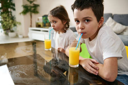 Adorable children, brother and sister drinking vitamin juice, sitting next to each other at the...