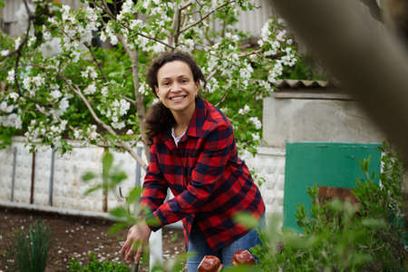 Mature mixed race woman gardener cute smiling working in vegetable garden on spring day. Hobby,...