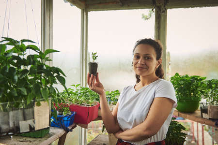 Mature smiling woman with a seedling in hand posing to camera standing inside a country greenhouseの写真素材