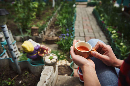 Close-up of a ceramic cup with tea in female gardener hands on the background of a garden in country houseの写真素材