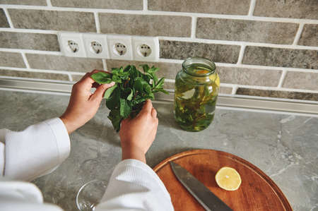 Fresh mint leaves in the hands of unrecognizable woman on the background of slices of lemon and...