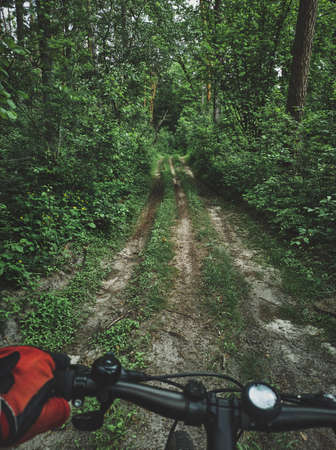 View of an overgrown path in the forest through the eyes of a cyclist. Cycling, bicycle cyclist, discover nature. Conceptsの写真素材