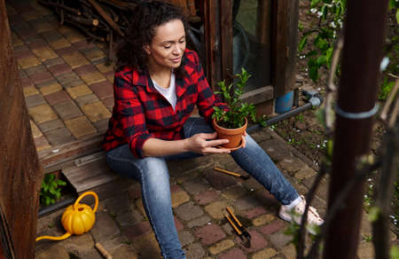 Woman gardener holds a clay pot with growing mint leaves and enjoys gardening in a wooden gazebo in the countryside gardenの写真素材