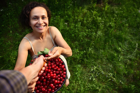 Cherry picking in the orchard of a country house. A man on a stepladder serves a bucket of cherries to a charming smiling African woman in a linen dressの写真素材