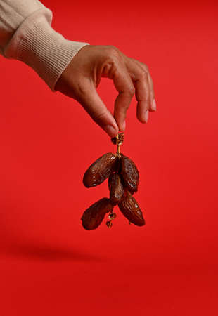 Close-up of hands holding a branch of fresh tasty sweet dates. Vertical shot on red background with space for textの写真素材