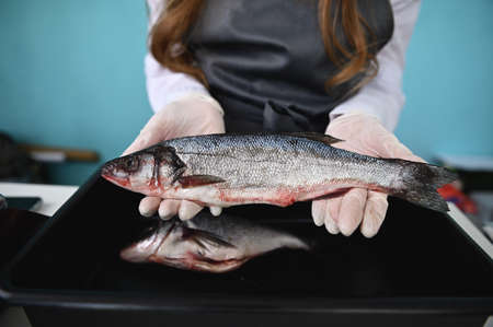 The fishmonger behind the counter holding a huge fish in his hands. Focus on a silver sea bass in the hands of an unrecognizable merchant in a seafood marketの写真素材