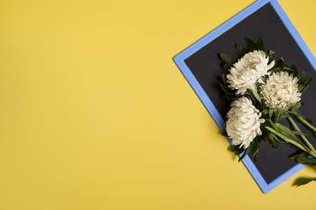 Flat lay of delicate beautiful stylish bouquet of asters autumn flowers on a blank empty chalkboard...
