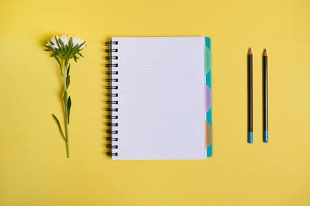 Flat lay composition from arranged aster flower next to an organizer notepad with blank white sheets and two pencils, isolated on yellow background with copy spaceの写真素材