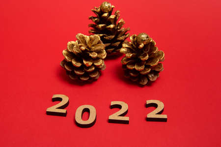 Studio shot of wooden Christmas composition of numerals symbolizing the year 2022 and beautiful pine...