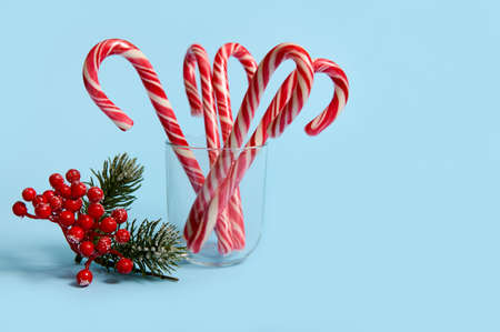 Studio shot of beautiful minimalistic simple composition with Christmas lollipops in transparent glass and snowy branch of pine with red berries, holly, on blue background with copy space for adの写真素材