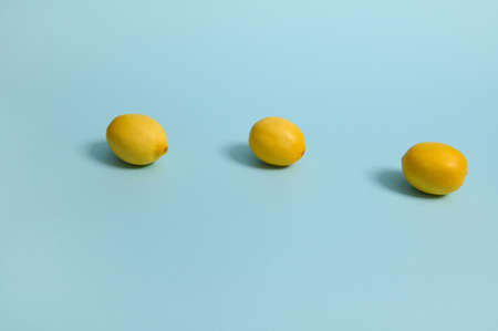 Bright yellow lemons on blue pastel background. Minimalist food composition with copy space for advertisementの写真素材