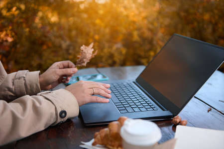 Focus on female holding oak leaf and typing on keyboard of a laptop with copy space on blank monitor screen , while working remotely outdoors in countryside with sunbeams falling through oak treesの写真素材