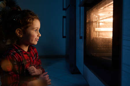 Adorable curious Caucasian little girl in a red and green plaid dress sitting on the floor and looking at the traditional German Stollen bread baked on a baking tray in the hot ovenの写真素材