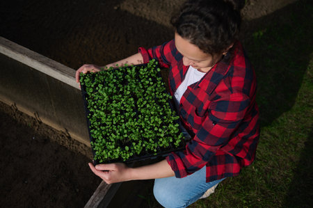 Overheaad view of a gardener holding greenery sprouts cultivated on black soil in peat pots cassette in greenhouse conditions. Gardening, horticulture conceptの写真素材