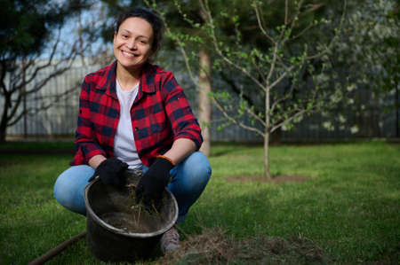 Pretty middle-aged woman gardener, housewife putting the mowed grass into a bucket for further...