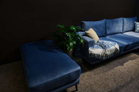 Modern and comfortable stylish navy blue velour sofa with beige cushions from high quality fabrics displayed for sale in the exhibition hall. Home design conceptの写真素材