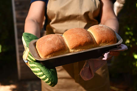 Cropped image of a housewife holding a baking container with hot freshly baked crusty homemade whole...