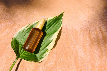 Unbranded dark bottle with SPF sunscreen oil on a green leaf, on golden sand beach background. Summer cosmetic concept.の写真素材