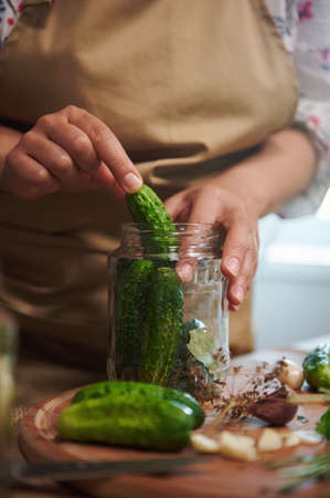 Close-up of a woman, housewife in beige chefs apron, makes pickled cucumbers at home kitchen. Homemade conservation of organic harvested seasonal vegetables. Pickling. Canning. Marinatingの写真素材