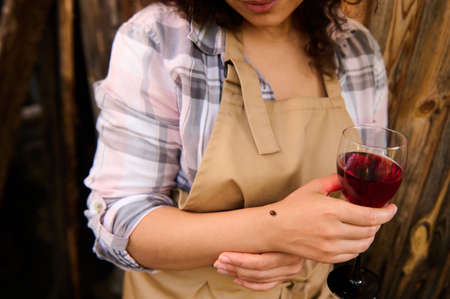 Close-up. Cropped image of a young woman in checkered shirt and beige apron, with a glass of homemade wine in nature, looking at a ladybug on her armの写真素材