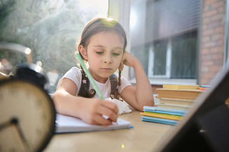 Sunbeams fall on the classroom through large panoramic windows while a charming schoolgirl, primary student, first grader does her homework, studies the writing, remotely from home in online schoolの素材 [FY310190479214]