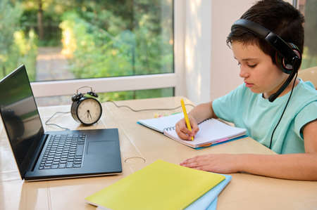 Adorable elementary age Caucasian boy, school boy having online classes while sitting at home in...