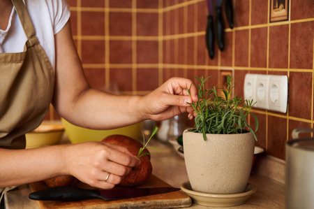 Selective focus on a beige ceramic pot of growing rosemary and housewife cutting leaves for sweet potato seasoning while preparing delicious healthy vegan lunch. Mediterranean cuisine. Italian cookeryの写真素材