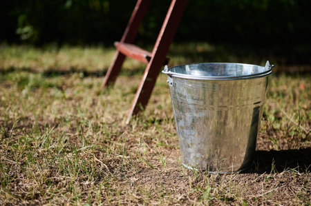 Still life with a metal galvanized bucket on the grass near the old stairs in the garden in the countryside. Harvest time. Gardening. Agriculture. Eco farmingの写真素材