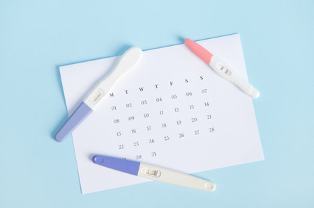 Top view of an inkjet pregnancy test with a biochemical reaction between hCG and urine appearing in two bars above a white calendar with last menstrual dates marked. Ovulation day. Planning maternityの写真素材