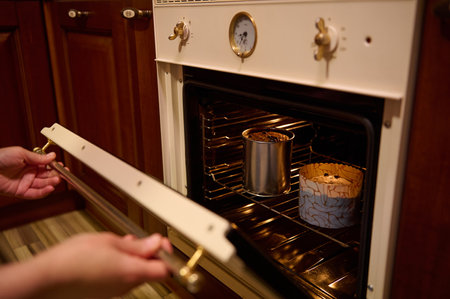 Close-up hands of a woman housewife, chef confectioner putting baking dishes with dough in the oven, cooking homemade delicious Easter cakes panettone in the home kitchen. Festive bakery and culinaryの写真素材
