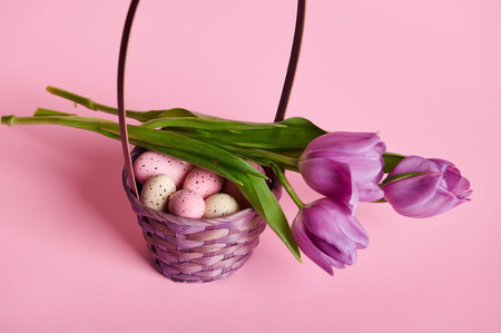 Purple basket filled with Easter eggs and bouquet of tulips on pink background. Copy ad space....