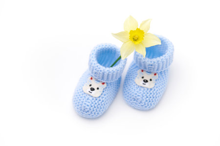 Top view. A pair of handmade blue knitted baby socks and yellow daffodil flower, isolated on white...