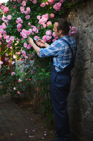 Full length portrait of professional male gardener floriculturist, horticulturist in blue uniform,...