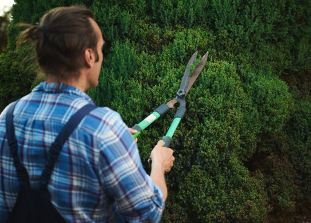 Rear view of a professional male gardener in blue gardening work uniform, using pruning shears or...