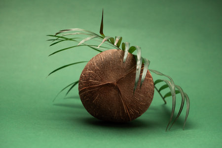 Coconut and palm leaf isolated over dark green studio background. Still life