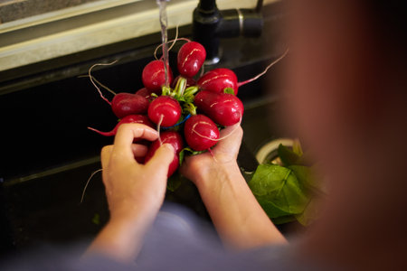 Healthy food, proper nutrition, slimming and dieting concept. Sustainable lifestyle. Organic food. Overhead view of woman washing fresh radish in the sink under flowing water. View from aboveの写真素材