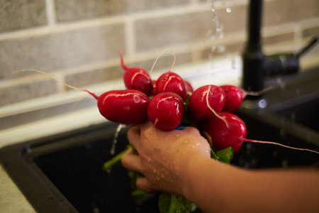 Details on the hands of unrecognizable woman housewife washing fresh organic radish leaves in kitchen sink, under flowing water. Dinner at home concept. Healthy eating and dieting concept. Close-upの写真素材