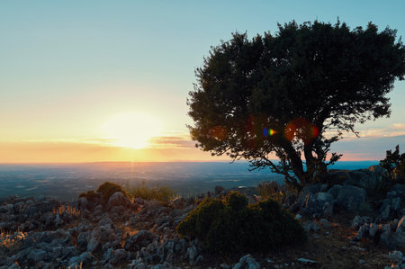 Beautiful sunset over a rocky hill with a prominent tree silhouette and expansive landscape, capturing nature's serene and tranquil beauty.の写真素材