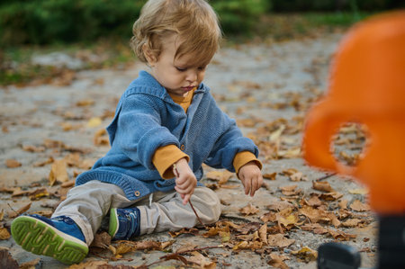 A young child in a blue sweater sits on a leaf-covered path, exploring the surroundings with a curious expression. The scene captures the essence of autumn and childhood play.の写真素材