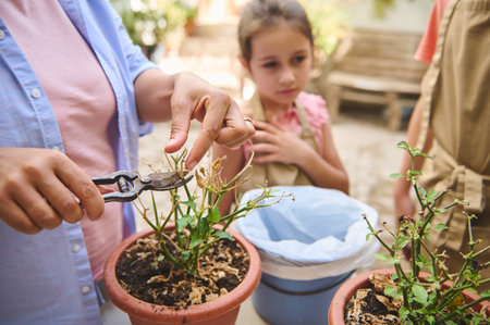 A close-up of hands using pruning shears to trim a potted plant, while a child observes with...