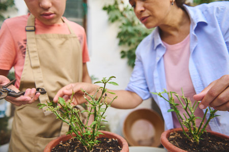 A mother and son work together, pruning plants in their garden. The boy holds the shears while the mother guides him through the steps. This scene captures bonding and learning through gardening.の写真素材