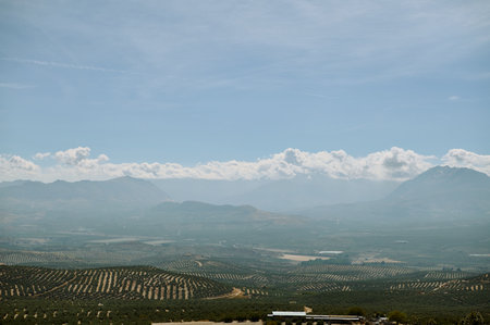 A breathtaking landscape showcasing rows of agricultural fields under a vast blue sky, with majestic...