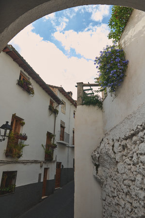 Beautiful view of a peaceful alley lined with traditional houses, featuring vibrant flowers and rustic charm. Illuminated by a lovely sky, this scene captures the spirit of heritage and timeless beauty.の写真素材