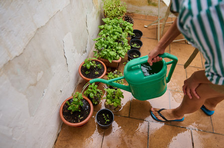 A closeup of a person using a watering can to irrigate potted plants on a sunny balcony, promoting gardening, sustainability, and urban lifestyle practices.の写真素材